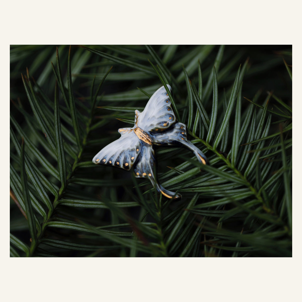 ORVENIOR Butterfly Statement Brooch for Women PT02